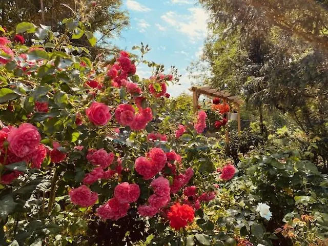 Garden View Near Frankfurt ----- Stay Like At Home -----